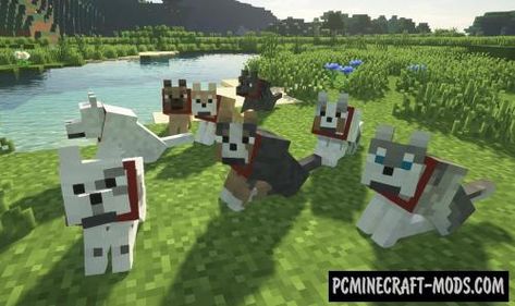 Minecraft Dog Texture Pack, Resource Pack Minecraft Aesthetic, Minecraft Wolf Art, Minecraft Dog House Ideas, Minecraft Dog, Minecraft Pack, Dog Armor, Minecraft Resource Packs, Mobs Minecraft