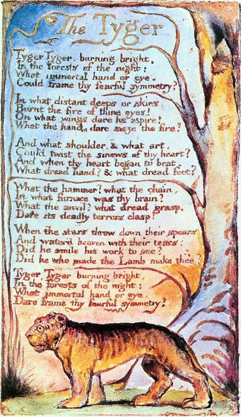 The Tyger by William Blake The Tyger William Blake, William Blake Poems, Most Famous Poems, Songs Of Innocence, English Poets, A Discovery Of Witches, Famous Poems, William Blake, All Souls