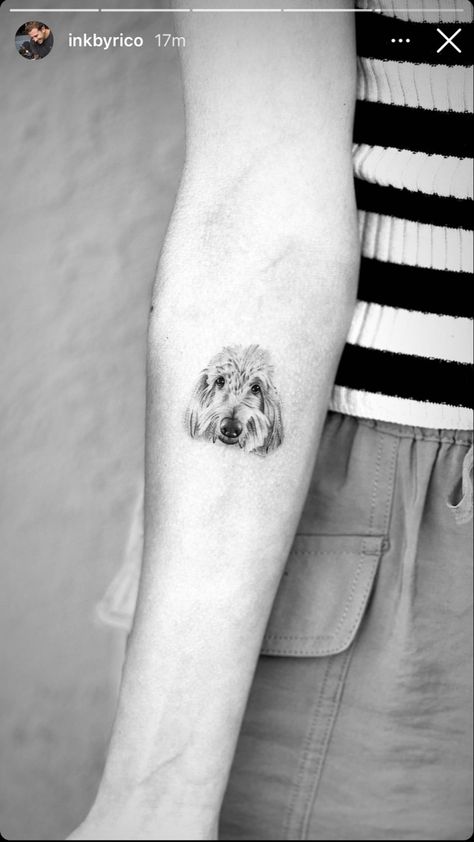 Dog Tattoo Goldendoodle, Dog Tattoo Ideas Golden Doodle, Golden Doodle Ears Tattoo, Goldendoodle Tattoo Ideas, Golden Doodle Tattoo Ideas, Goldendoodle Tattoos, Sheepadoodle Tattoo, Goldendoodle Tattoo Ideas Minimalist, Doodle Dog Tattoo Ideas