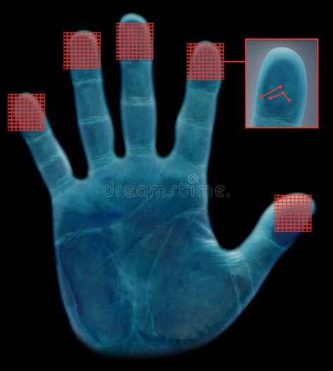 Biometric fingerprint scanner. With palm of hand and red scanning grids , #AFF, #scanner, #palm, #Biometric, #fingerprint, #scanning #ad Fingerprint Science, Forensic Biology, Dna Fingerprinting, Spy Kit, Alien Hand, Palm Of Hand, Alien Halloween, Fingerprint Scanner, Forensic Psychology