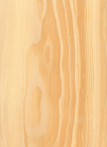 Pinyon Pine (Pinus edulis) Pinon Pine, Pinyon Pine, Pine Wood Texture, Free Wood Texture, How To Varnish Wood, Pale Wood, Wood Pipe, Wooden Texture, Room Partition Designs