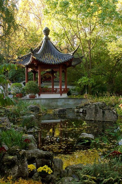 Website Extras - Michigan Gardener Chinese Garden Design, Japanese Garden Style, Japanese Gardens Design Ideas, Autumn Sunrise, Soothing Music, Missouri Botanical Garden, Japanese Garden Design, Asian Architecture, Asian Garden