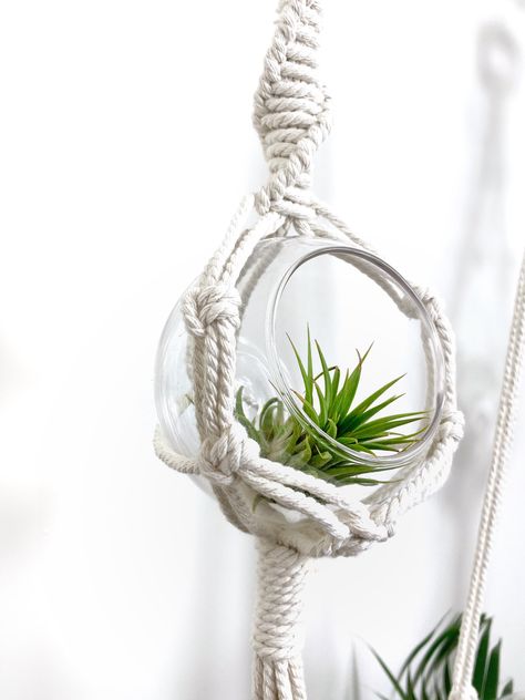 Excited to share my DIY air macrame plant hanger tutorial and pattern from my #etsy shop: Beginner DIY Macrame plant hanger pattern #macramediykit #planthangerkit #airplanthangerkit #airplanthanger Air Plant Macrame Hanger Diy, Macrame Air Plant Hanger Diy, Macrame Air Plant Hanger, Plant Hanger Pattern, Air Plant Hanger, Macrame Plant Hanger Tutorial, Macrame Plant Hanger Patterns, Macrame Planter, Glass Pot