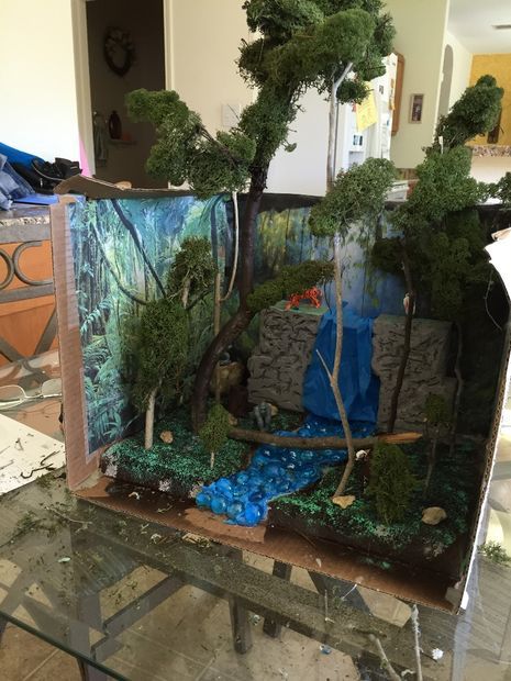 Rain Forest Diorama, Ecosystems Diorama, Habitat Diorama, Forest Diorama, Rainforest Project, Biomes Project, Rainforest Biome, Tiger Habitat, Diorama Kids