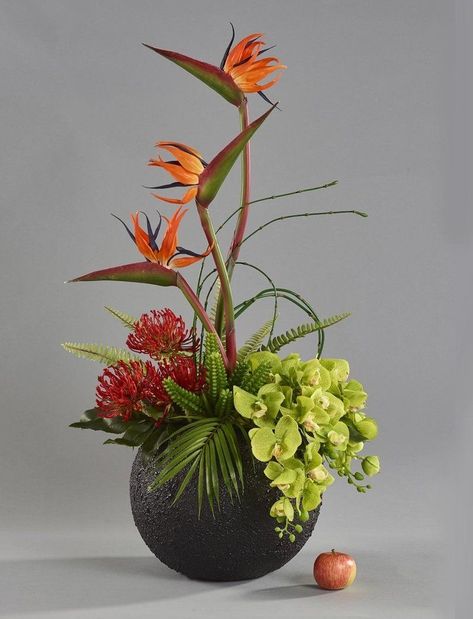 Art Creative Ideas, Pin Cushion Protea, Modern Decorating, Contemporary Flower Arrangements, Orchid Flower Arrangements, Floral Art Arrangements, Tropical Floral Arrangements, Tropical Flower Arrangements, Tulips Arrangement