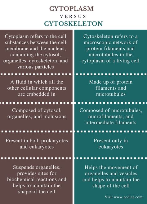 Biochemistry Notes, Learn Biology, Nursing 101, Nursing School Essential, Study Biology, Basic Anatomy And Physiology, Biology Facts, Brain Facts, Study Tips For Students