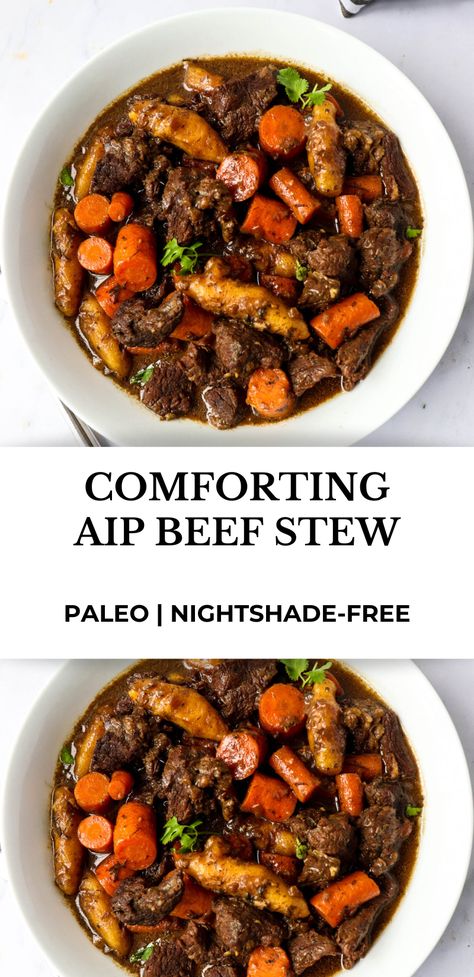 Aip Beef Chuck Roast, Aip Dinner Recipes Beef, Aip Beef Stew Instant Pot, Wahls Paleo Plus Recipes, Aip Beef Stew Crockpot, Aip Beef Stir Fry, Paleo Recipes For Families, Paleo Stew Meat Recipes, Aip Ground Beef Recipes Autoimmune Paleo