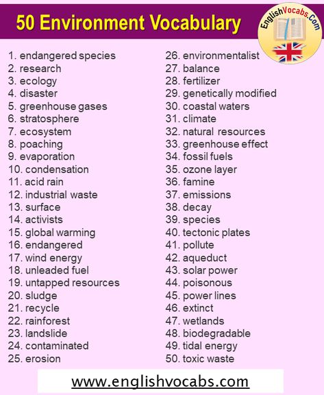 Tidal Energy, Man Made Environment, Words List, Vocabulary Quiz, Ozone Layer, Greenhouse Effect, Basic Math Skills, Spelling Bee, Plate Tectonics