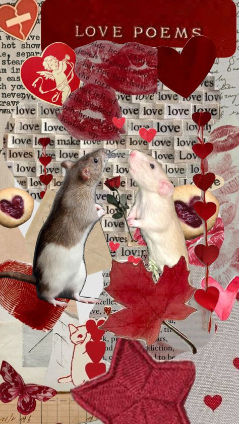 rats in love Rat Couple, Rats In Love, Lock Screens, Pet Rats, Rodents, Love Poems, Puzzle Pieces, Mice, Connect With People