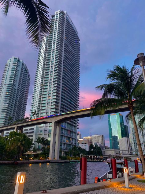 Miami Brickell Apartment, Miami Core Aesthetic, Miami Ig Pics, Miami Brickell Aesthetic, Miami City Aesthetic, Brickell Aesthetic, Brickell Miami Apartments, Miami Summer Aesthetic, Ciudades Aesthetic