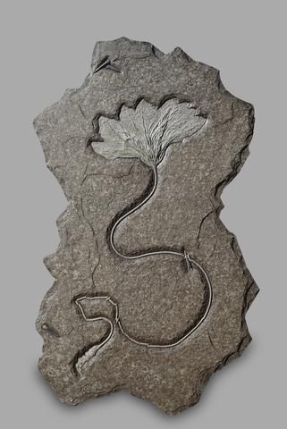 Sea Lily, Crinoid Fossil, Living Fossil, Rock Crafts, Cthulhu, A Sea, Ancient Times, World Class, Rocks And Minerals