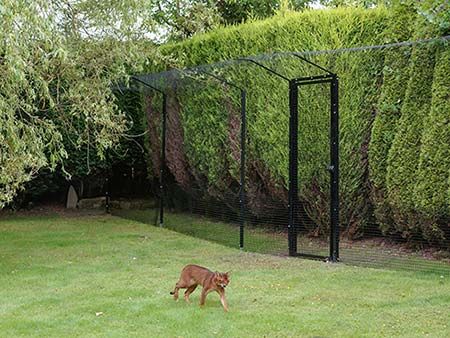 Garden Enclosure, Diy Cat Enclosure, Katt Diy, Cat Gate, Chat Diy, Kat Diy, Cat Enclosures, Cat Fence, Cat Patio