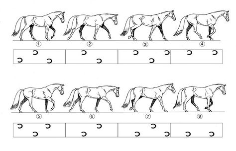 Animal Walk Cycle, Animation Cycle, Horse Walking, Walking Animation, Drawing Horses, Principles Of Animation, Horse Animation, Learn Animation, Walk Cycle