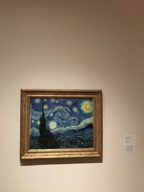 “The Starry Night” by Vincent Van Gogh, located at the MoMA in New York Saw Art, Moma Museum, Vincent Willem Van Gogh, Arte Van Gogh, Fotografi Vintage, The Starry Night, Artist Aesthetic, Van Gogh Art, Indoor Garden Ideas