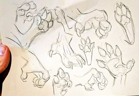 Werewolf paw anthro hands Werewolf Hands Drawing, Neck Fluff Drawing, Dragon Paws Reference, Anthro Paws Reference, Paws Reference Drawing, Anthro Poses Reference, Anthro Hands, Paw Drawing Reference, Anthro Paws