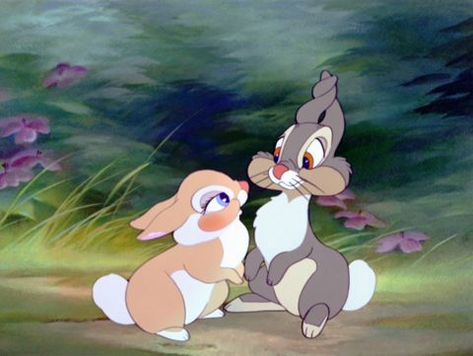 Bunny Movie, Bambi 1942, Disney Movie Scenes, Miss Bunny, Rabbit Wallpaper, Bambi Disney, Walt Disney Characters, Bunny Painting, Bunny Wallpaper