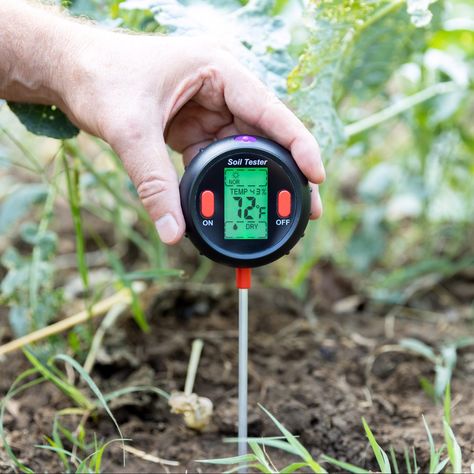 Knowing what's in your dirt is an easy way to green up your thumb, but the test isn't a no-brainer. Here are some techniques to ace your soil test. Soil Test, Nitrogen Cycle, Cucumber Beetles, Dig Gardens, Simple Garden, Compost Tea, The Family Handyman, Soil Testing, Plant Science