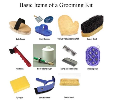 Basic grooming kit Grooming Kits For Horses, Grooming Kit Horse, Horse Grooming Tips, 15 Pictures Ideas, Stable Management, Horse Grooming Supplies, Horse Grooming Kit, Horse Brushes, Horse Information