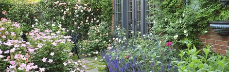 Her Roses Grow Like Gangbusters Garden Header, Backyard Rose Garden, Fence With Lattice Top, Rose Garden Landscape, Garden Paradise, Cottage Aesthetic, Shrub Roses, Stone Path, Growing Roses