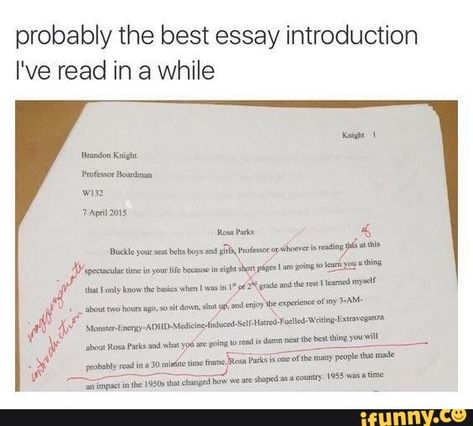 probably the best essay introduction I've read in a while – popular memes on the site iFunny.co #school #memes #bottlesfam #probably #best #essay #introduction #ive #read #while #pic Smart Fridge, Essay Intro, Teen Posts, Good Essay, School Memes, Time Life, Funny Posts, Funny Jokes, The Internet