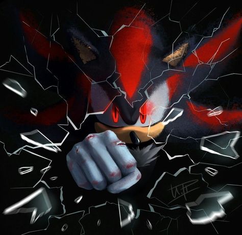 Dark Tide, Doctor Eggman, Hedgehog Game, Sonic Adventure 2, Sonic Heroes, Shadow 2, Blue Hedgehog, Sonic Adventure, Hedgehog Art