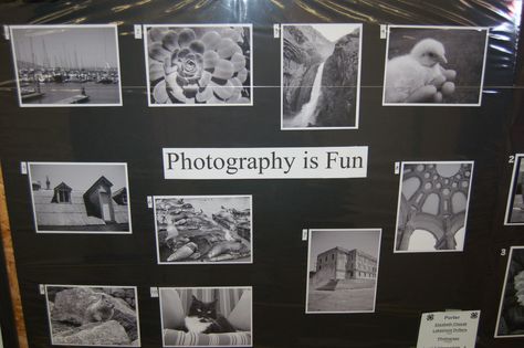 My 2011 4-H Projects, Part II | Musings From Neville's Navel 4 H Photography Project Ideas, 4h Photography Project Ideas, 4h Photography Project, Black White Salon, 4 H Poster Ideas, 4-h Poster Ideas, Black And White Salon, 4h Ideas, 4h Projects