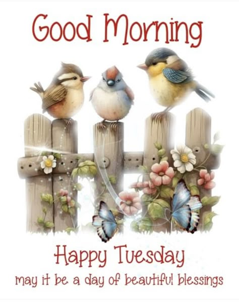 Good Morning Tuesday Winter Images, Good Morning Family And Friends Happy Tuesday, Good Morning Enjoy Your Day, Tuesday Blessings Mornings, Happy Tuesday Pictures, Tuesday Meme Humor, Good Morning Happy Tuesday, Good Morning God, Cute Morning Quotes