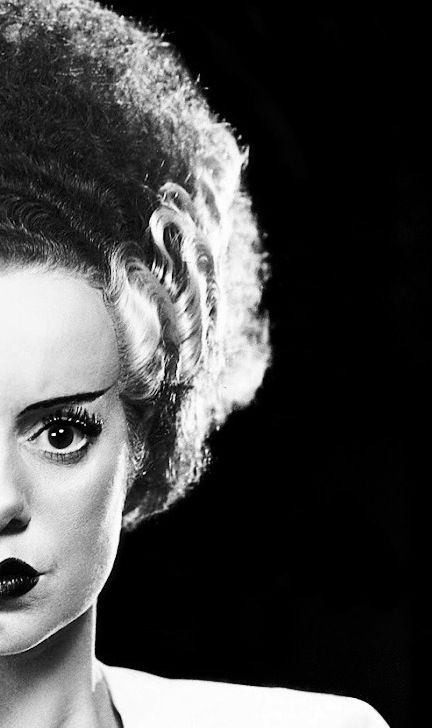 Frankenstein Wedding, Elsa Lanchester, The Bride Of Frankenstein, Frankenstein Art, Young Frankenstein, Famous Monsters, Frankenstein's Monster, Horror Icons, Classic Horror Movies