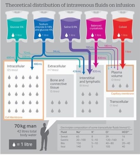 Theoretical distribution of intravenous fluids on infusion. Graphic for Nursing Students. Nursing Information, Nursing Cheat, Iv Fluids, Nursing Mnemonics, Pharmacology Nursing, Critical Care Nursing, Pa School, Nursing School Survival, Nursing Life