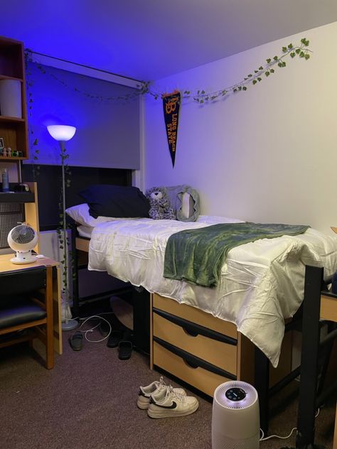 Guys dorm room green vines csulb lbsu long beach state College Dorm Room Ideas For Guys Aesthetic, Athlete Room Aesthetic, Room Astetic Ideas Men, College Dorm Room Ideas Aesthetic Men, Dorm Room Ideas For Guys Aesthetic, Guys Dorm Room Aesthetic, Guy Dorm Room Aesthetic, Csulb Dorm, College Dorm Room Ideas Men