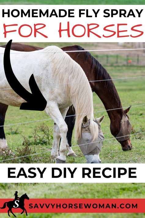 Diy Fly Spray For Livestock, Fly Spray For Cattle, Horse Fly Spray Recipe Homemade, Natural Fly Spray For Horses, Homemade Fly Spray For Horses, Horse Fly Spray Recipe, Horse Brands Ideas, Diy Horse Fly Spray, Diy Fly Spray