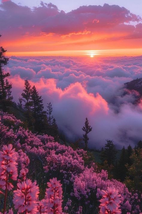 Pink Sunset Mountains, Pink Sky Photography, Calm Vibes Aesthetic, Pink Nature Aesthetic, Pink City Aesthetic, Mountain View Aesthetic, Pretty Sky Pictures, Pink In Nature, Pink Sky Landscape