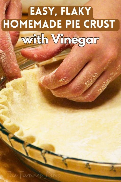 Easy, Flaky Homemade Pie Crust With Vinegar • The Farmer's Lamp Pie Crust With Vinegar, Pie Crust Recipe With Vinegar, Easy Homemade Pie Crust, Easy Flaky Pie Crust, Easy Homemade Pie, Oil Pie Crust, Apple Pie Crust, Pie Crust Uses, Flaky Pie Crust Recipe