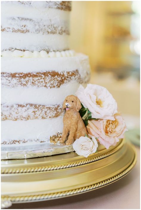 Dog Cake Wedding, Dog Wedding Cake Ideas, Dogs On Wedding Cake, Dog On Wedding Cake, Simple Wedding Cake With Dog, Wedding Cakes With Dogs, Golden Doodle Wedding, Wedding Cake With Golden Retriever, Wedding Cake Golden Retriever