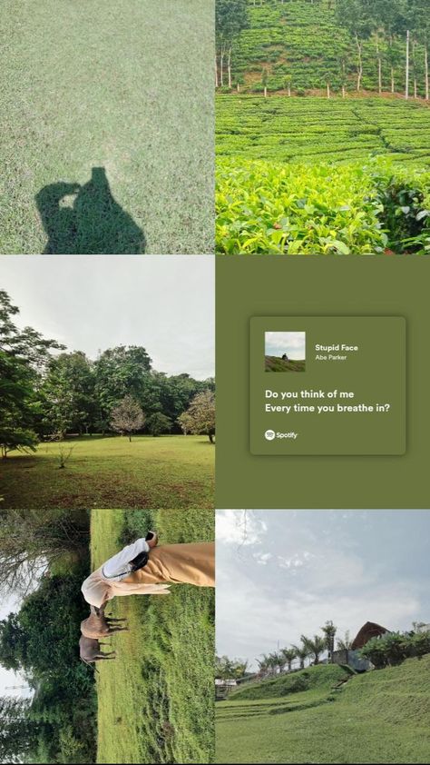 Instagram Design Creative, Nature Collage, Instagram Collage, Instagram Creative Ideas, Instagram Graphic, Instagram Inspiration Posts, Story Ideas Pictures, Instagram Ideas Post, Instagram Layout