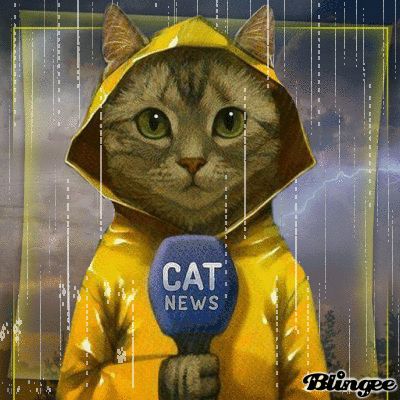 Cat News zur Wetterlage... Marketing Job, 강아지 그림, Image Chat, Pet Clinic, Cat Artwork, Cat Posters, Cats Illustration, Arte Animal, Cat Painting