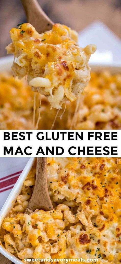 Gluten Free Mac And Cheese, Gluten Free Thanksgiving Recipes, Gluten Free Thanksgiving, Best Gluten Free, Gluten Free Recipes For Dinner, Gluten Free Cheese, Gluten Free Eating, Gluten Free Dinner, Gluten Free Recipes Easy