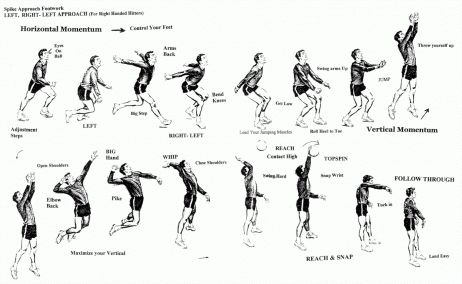 Figure 2: Volleyball Spike Sequence. Get Better At Volleyball, Volleyball Rules, Training Volleyball, Spike Volleyball, Youth Volleyball, Volleyball Wallpaper, Volleyball Skills, Volleyball Practice, Volleyball Tips