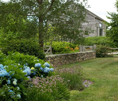 New England Landscaping, New England Backyard, New England Farm, Farmhouse Fixer Upper, Ranch Exterior, Coastal Gardens, Olive Gardens, Farm Stay, Home Landscaping