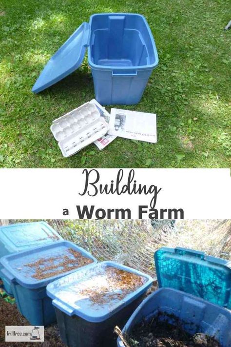 Building a Worm Farm Worm Bins How To Build, Worm Tower Composting, Worm Farm Diy How To Make A, Earthworm Farm, Vermicomposting Worm Farm, Cricket Farm, Worm Tower, Worm Farm Diy, Mealworm Farm