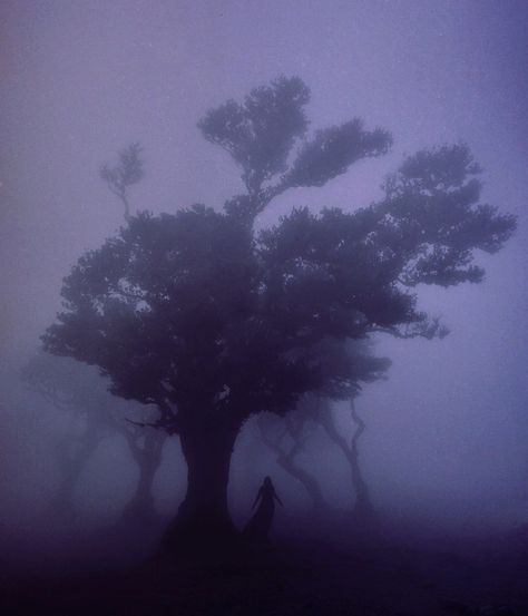 (3) isabsantin no Tumblr Nona Limmen, Collect Moments Not Things, Twilight Aesthetic, Cut The Ropes, Fairy Wings, Aesthetic Pics, Story Inspiration, Purple Aesthetic, Just Beautiful