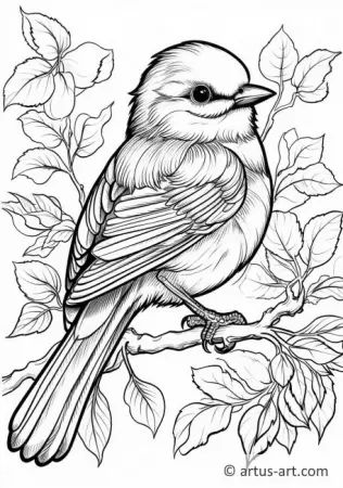 Birds Coloring Pages » Pretty Printable Bird Coloring Sheets Bird Coloring, Bird Coloring Pages, State Birds, Batman Wallpaper, Online Coloring Pages, Fantasy Dragon, Bird Drawings, Dark Knight, Colouring Pages