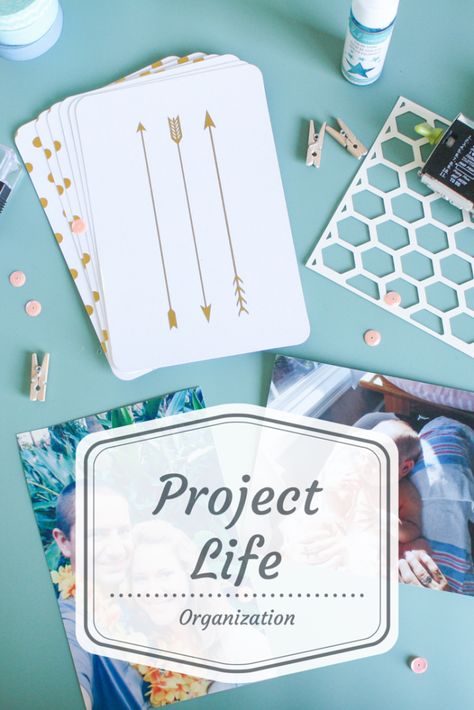 i love how she organized her embellishments for project life Documented Life Project, Project Life Planner, Week In The Life Scrapbook, Project Life Organization, Project Life Freebies, Project Life App, Project Life Scrapbook, Scrapbook Organization, Planner Organiser