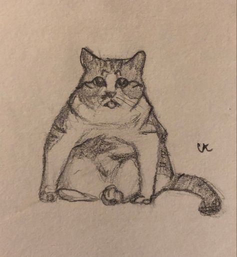 A quick sketch of a chunky boy in a silly position (Jebi) Chunky Animals Drawing, Chunky Cat Drawing, Chunky Drawing, Fluffy Cat Drawing, Boy Sketch, Cats Art Drawing, Animal Drawing, Cats Art, Fluffy Cat