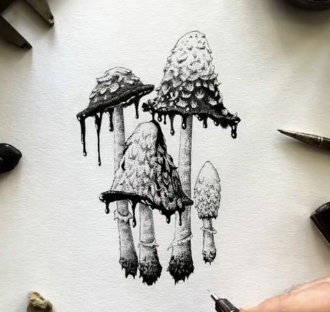 Amanita Mushroom Drawing, Drippy Mushroom Tattoo, Inkcap Mushroom Drawing, Mushroom Gills Drawing, Poison Mushroom Drawing, Shaggy Ink Cap Mushroom Drawing, Enoki Mushroom Tattoo, Reishi Tattoo, Inkcap Mushroom Tattoo