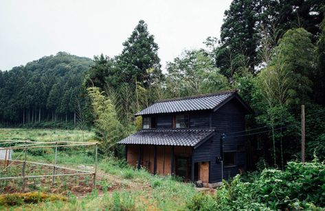 Life on a Secret Japanese Art Farm - Life on a Secret Japanese Art Farm Japanese Farm, Androgynous People, Farm Aesthetic, Live Chicken, Japanese Style Garden, Tiny Village, Aesthetic Japan, Old Farmhouse, Sound Proofing