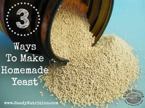 Without yeast, our lives would be void of many of our day-to-day products. Getting back to the basics and learning how to make yeast yourself will give you an invaluable skill to hold onto and share with others. Using different produce such as oranges, potatoes, herbs and grains is not only a great science experiment, but a way for you to play around with the flavors of your favorite bread recipes. Homemade Yeast, Dried Raisins, Yeast Starter, No Yeast Bread, Bread Starter, Wild Yeast, Glass Jars With Lids, Survival Food, Food Supply