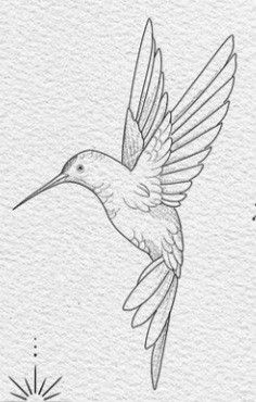 Hummingbird Painting Acrylic, Hummingbird Art Drawing, Hummingbird Sketch, Bird Pencil Drawing, Hummingbird Drawing, Hummingbird Painting, Bird Sketch, Hummingbird Art, Texas Roadhouse