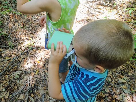 How to make binoculars for birdwatching with your toddler. Apple Alphabet, Pine Cone Bird Feeder, Birds In Nature, Homemade Bird Feeders, Bird Calls, Homeschool Inspiration, Alphabet Wall, Letter Of The Week, Teaching Jobs