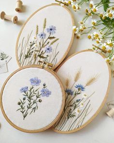 Floral Embroidery Patterns, Pola Sulam, Hand Embroidery Projects, 자수 디자인, Silk Ribbon Embroidery, Flower Embroidery Designs, Modern Embroidery, Embroidery Hoop Art, Embroidery Craft